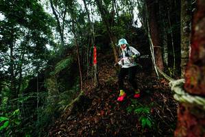 BIB: 
                            <button type="button" onclick="openModal(26198346)" class="btn btn-primary btn-sm float-right btn-popup" data-toggle="modal" data-target=".modal-high-quality">
                        <i class="fas fa-shopping-cart"></i> Add to Cart
                    </button>
                                            <button type="button" onclick="isThisMe(26198346, true)" class="btn btn-success btn-sm float-right btn-popup btn-isme hidden" data-toggle="tooltip" data-placement="bottom" title="นี่คือรูปของคุณใช่ไหม คลิกที่นี่เพื่อเอาเข้าอัลบั้ม">
                        <i class="fas fa-plus"></i> Add to album
                    </button>
                    <button type="button" onclick="isThisMe(26198346, false)" class="btn btn-warning btn-sm float-right btn-popup btn-isnotme hidden">
                        <i class="fas fa-ban"></i> Remove from album
                    </button>